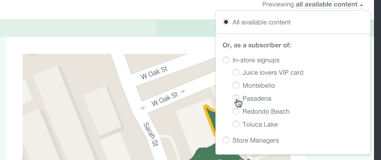 The preview menu, for displaying your email as each segment would see it