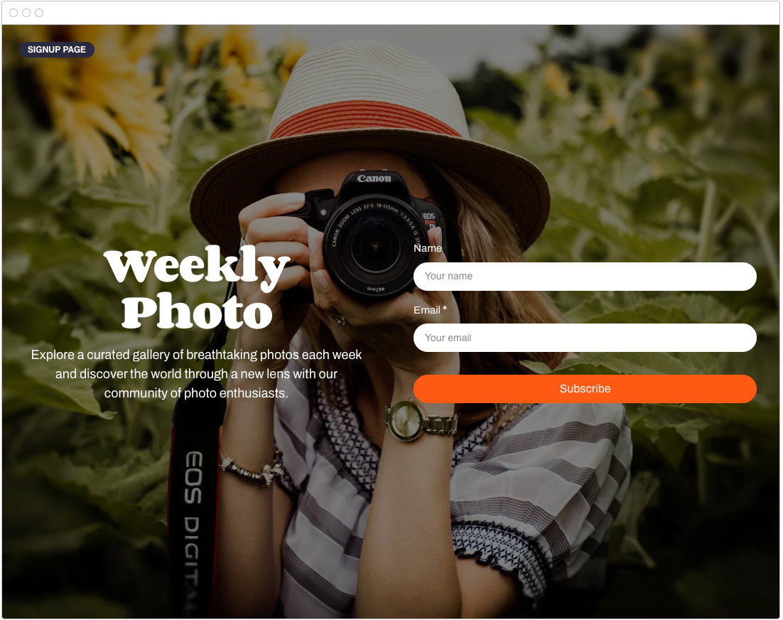 Preview of a signup page